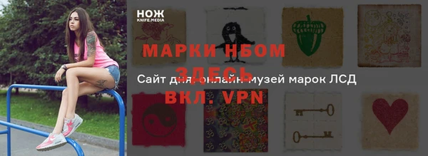 спиды Новозыбков