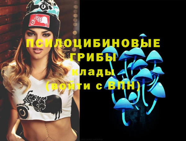 мет Новодвинск