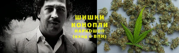 спиды Новозыбков