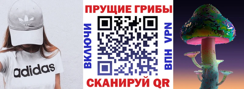 Галлюциногенные грибы MAGIC MUSHROOMS закладка Котово